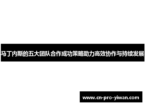 马丁内斯的五大团队合作成功策略助力高效协作与持续发展