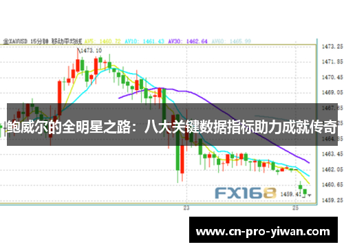 鲍威尔的全明星之路：八大关键数据指标助力成就传奇